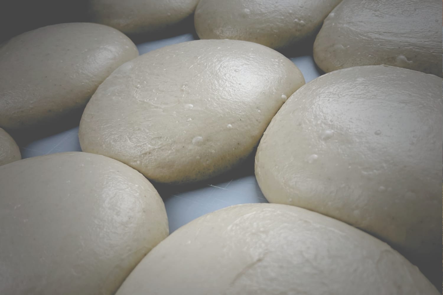 Tray of floured pizza dough balls ready to proof